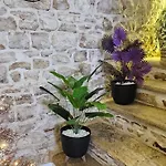 Mariposa Grumo Alojamento de Acomodação e Pequeno-almoço *